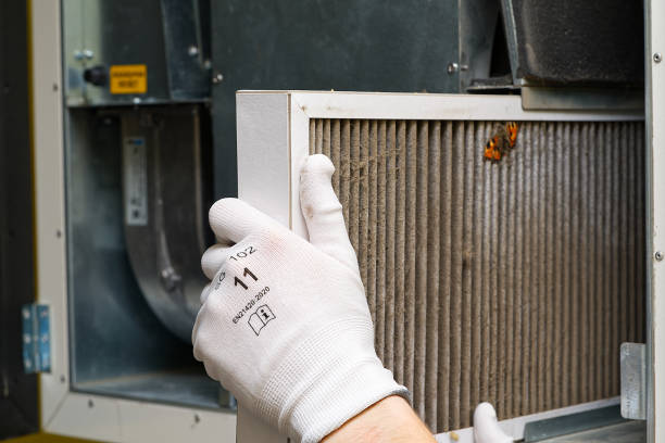 Best Local Air Duct Cleaning Services  in Lone Pine, CA